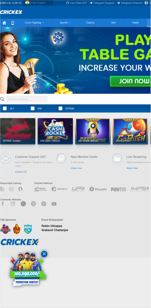 Screenshot of the crash games in the Criskex app