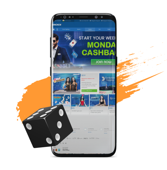 Indian users who prefer live gaming will be happy with the selection of options on the Crickex app