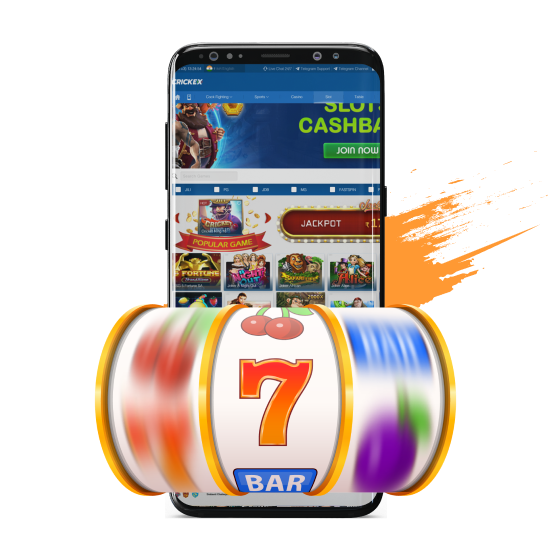 The Crickex app offers Indian users more than 2,000 slots in various genres